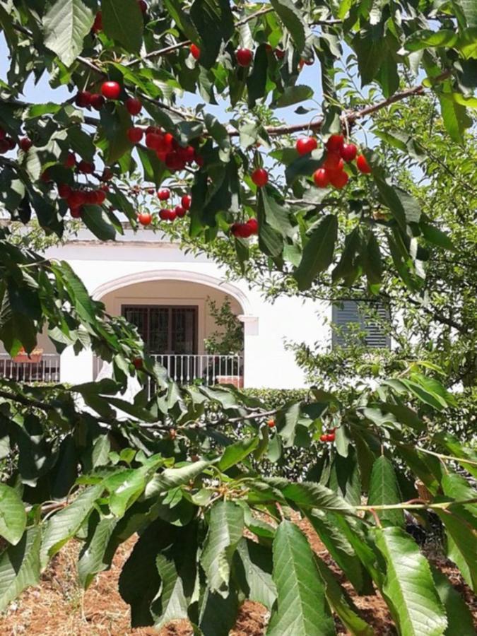 La Volpina Bed & Breakfast Martina Franca Exterior photo